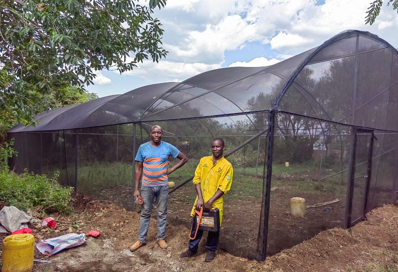 School Vegetable Shade Net Houses in Homa Bay
