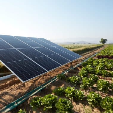 Solar Pump vs Petrol Pump: What It Really Costs a Kenyan Farmer