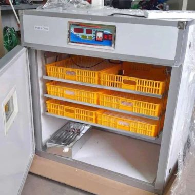 Egg incubators sale in Kenya. Hatch Success, Made Easy: Reliable Egg Incubators for Kenyan Farmers
