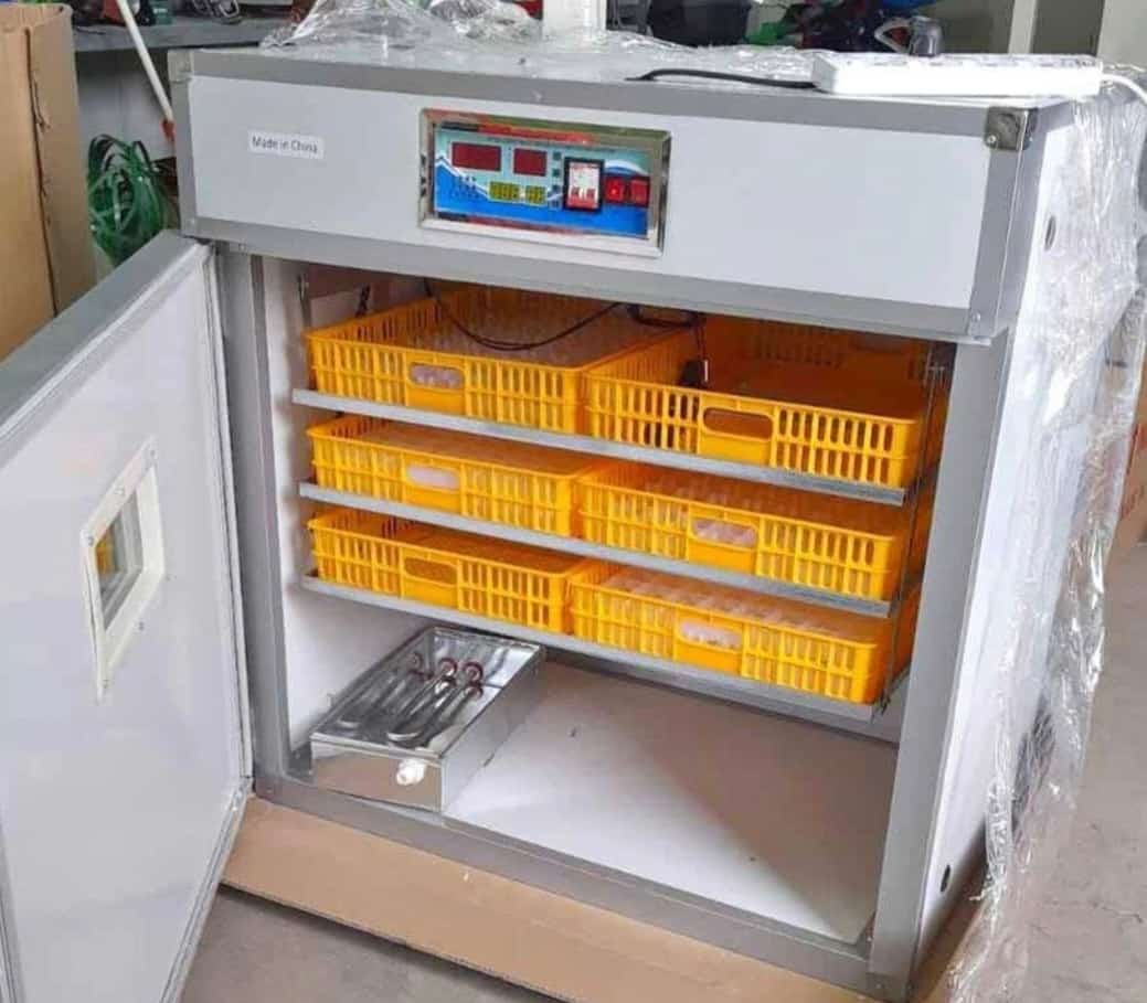 Egg incubators sale in Kenya. Hatch Success, Made Easy: Reliable Egg Incubators for Kenyan Farmers