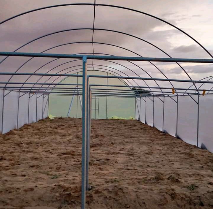 Metallic Green Houses construction in Kenya