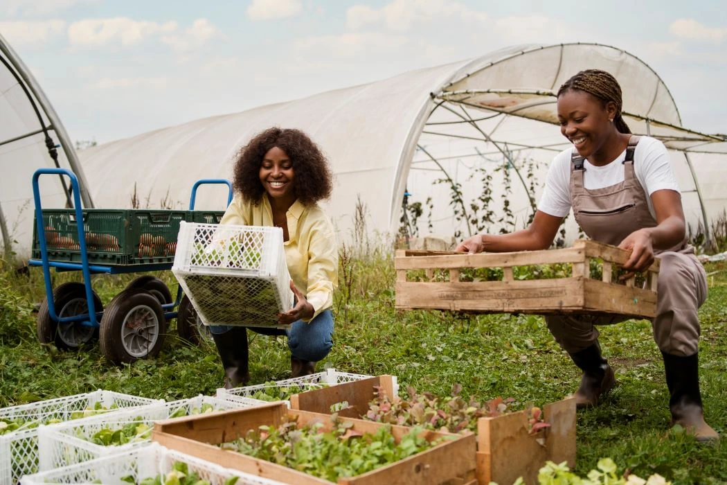 About Symnet Symnet Agro Solutions Ltd aims at supporting farmers in areas with Harsh climatic conditions by enabling them to do farming throughout the year affordably. We work closely with farmers and other Agricultural stake holders Countrywide to ensure this dream come true.