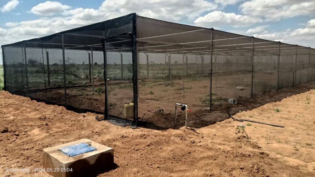 Shade Nets Shade nets Prices in Kenya vary depending on Percentages of the sunlight they can block. We sell Shade nets in rolls of 4×50 metres and We can Also construct shade net structure.