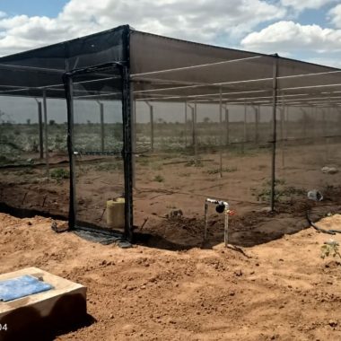 Shade Nets Shade nets Prices in Kenya vary depending on Percentages of the sunlight they can block. We sell Shade nets in rolls of 4×50 metres and We can Also construct shade net structure.