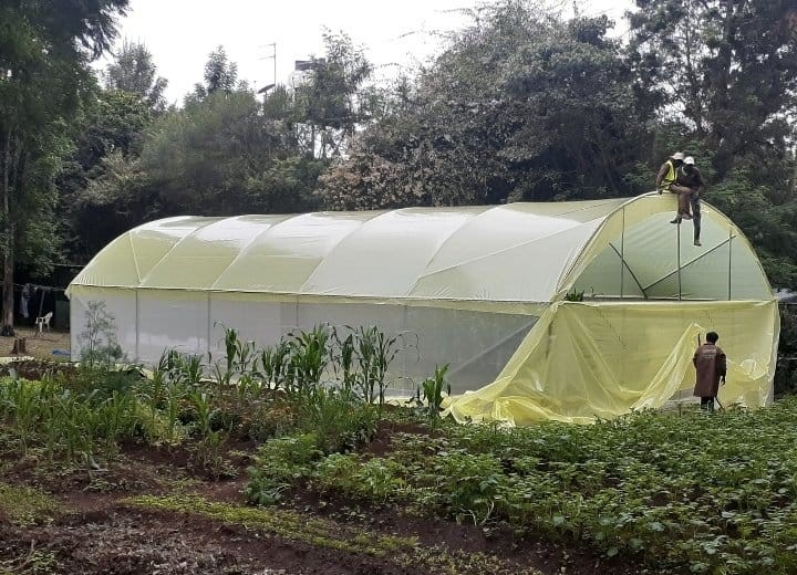 Greenhouse farming and construction in kenya